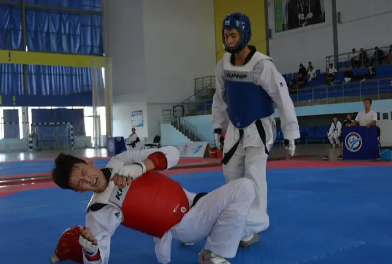 Стали известны результаты первого дня Чемпионата РК по таеквондо