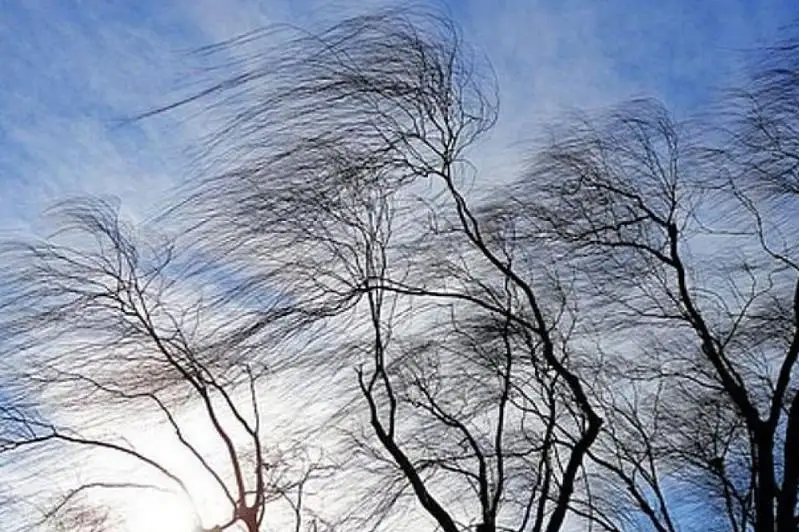 О силе ветра во время обрушения дымовой трубы на Петропавловской ТЭЦ рассказали синоптики