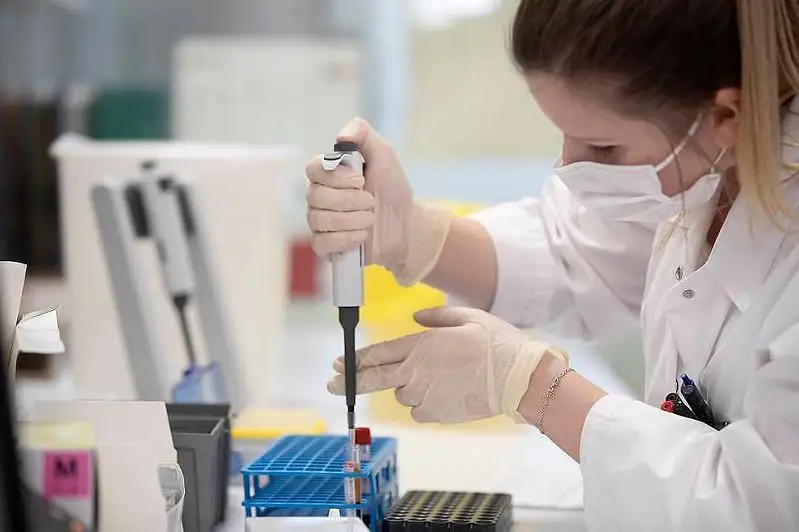 None