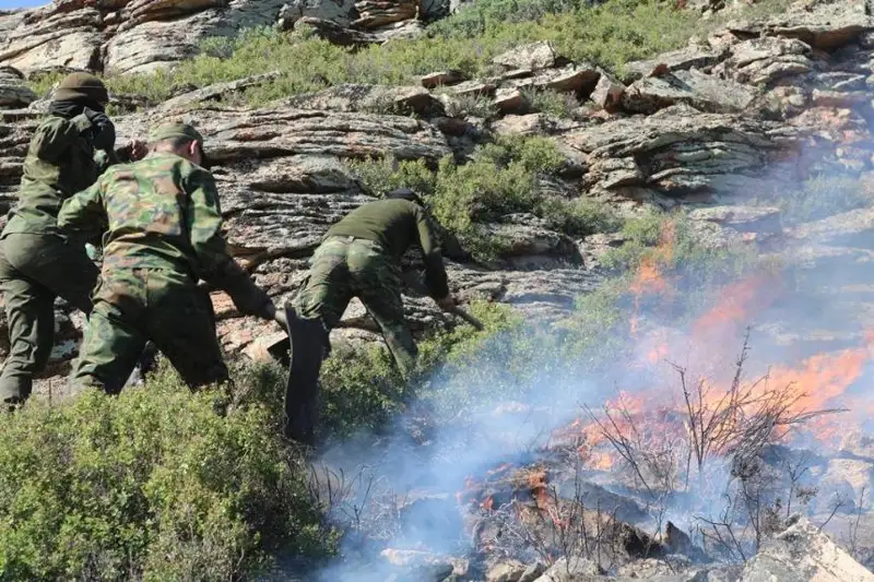 Пожар в Кувском лесничестве Каркаралинского района ликвидирован