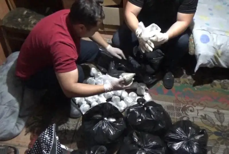 Семей тұрғынының үйінен есірткінің аса ірі партиясы табылды