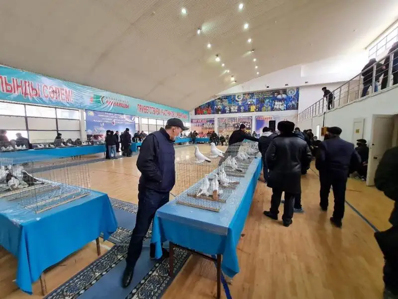 اتىراۋدا كوگەرشىندەر كورمەسى ءوتتى