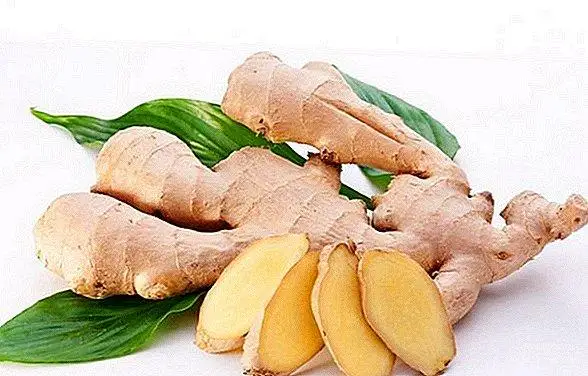 ءزىمبىردىڭ پايداسى مەن زيانى