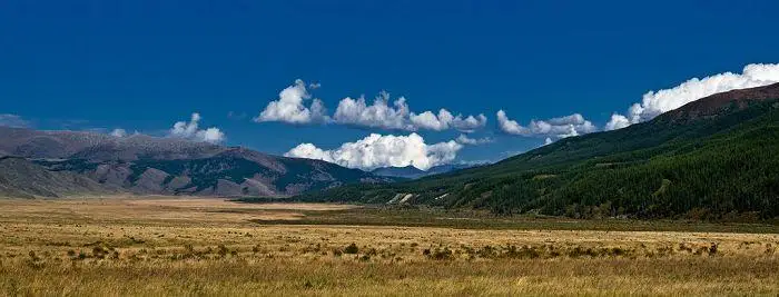 تاڭعاجايىپ تارباعاتاي