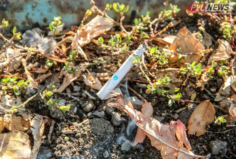 Материальный ущерб от пожаров превысил 87,7 млн тенге в Павлодарской области