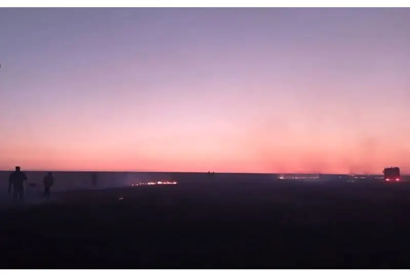 Травостой на площади 50 гектаров загорелся в Акмолинской области