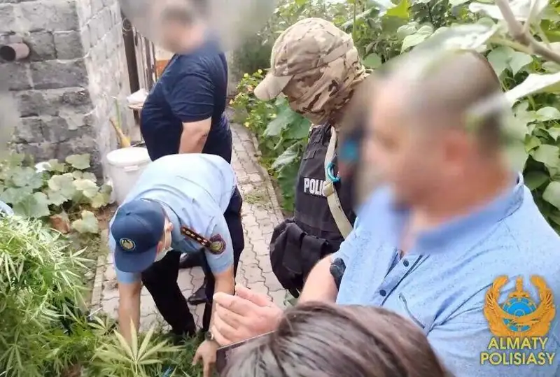 Почти 24 кг марихуаны изъяли у алматинца