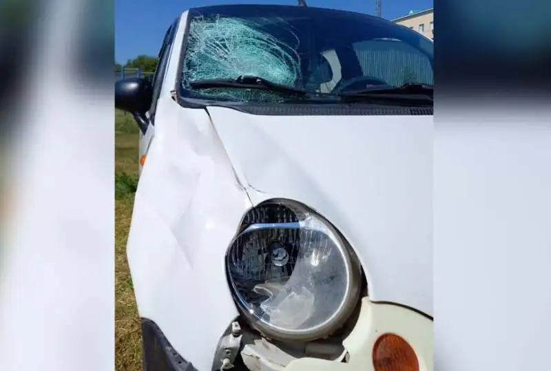 Водитель насмерть сбила пешехода и скрылась с места ДТП в Актюбинской области