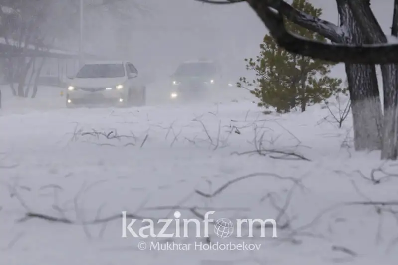 Метель, гололед, туман: штормовое предупреждение объявлено в 8 регионах