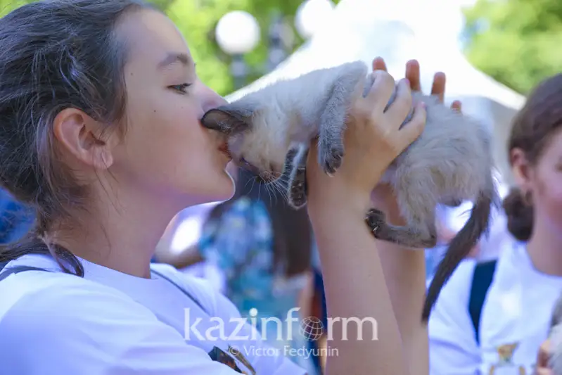 جانۋارلارعا جاۋاپكەرشىلىكپەن قاراۋ تۋرالى زاڭ جوباسى كوپشىلىكتىڭ تالقىلاۋىنا شىعارىلدى