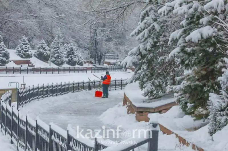 Ледяная корка сформировалась в пяти районах СКО