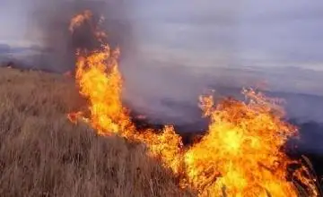 ەرتەدە قازاقتار دالاداعى ءورتتى قالاي اۋىزدىقتاعان؟