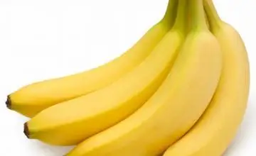 بانان تۋرالى قىزىقتى مالىمەتتەر