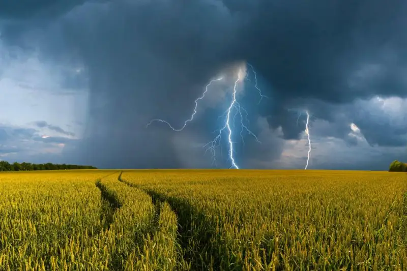 نايزاعاي تۋرالى قىزىق دەرەكتەر