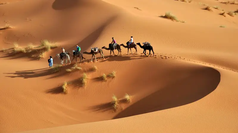 ساحارا جاسىل جەلەككە اينالا ما؟