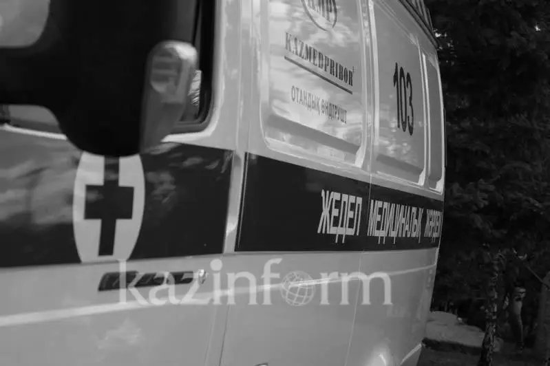 قۇس اتامىن دەپ ءوزى وققا ۇشتى: جامبىل وبلىسىندا 14 جاسار بالا كوز جۇمدى