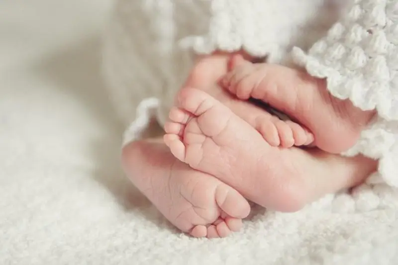 اتىراۋدا ءۇش اپتادا 7 ەگىز دۇنيەگە كەلدى