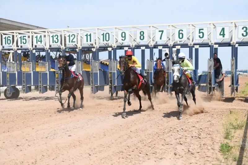 نۇر-سۇلتاندا ۇلتتىق ات سپورتىنان رەسپۋبليكالىق جارىس ءوتتى