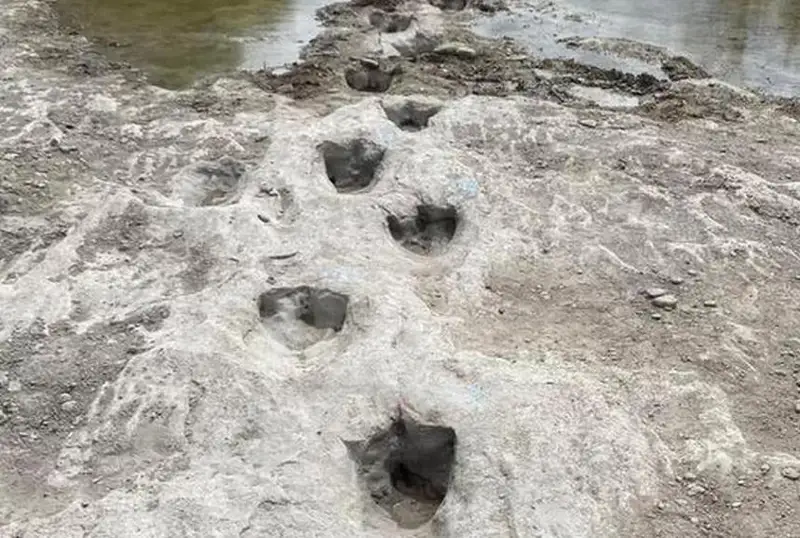 Следы динозавров обнаружены после сильной засухи на дне реки в Техасе