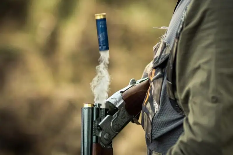 Более 130 тыс. диких животных и растений изъяли у браконьеров в Китае