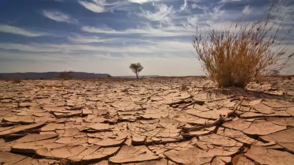 ب ۇ ۇ: الەمدە 70-تەن استام مەملەكەت قۇرعاقشىلىق قۇرىعىندا