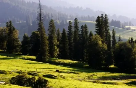 Қабанбай ат шалдырған қайран Күнес!