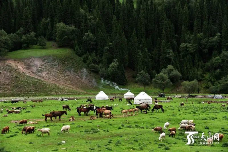 &Ograve;&deg;&ETH;&raquo;&Ntilde;&Ntilde; &ETH;&acute;&Ograve;&macr;&ETH;&frac12;&ETH;&sup3;&ETH;&micro;&ETH;&frac12; &ETH;&deg;&Ograve;&Ntilde;&ETH;&deg;&Ograve;&ETH;&deg;&ETH;&raquo; &Ograve;&ETH;&deg;&ETH;&middot;&ETH;&deg;&Ograve;&Ntilde;&Ntilde;&Ograve;&pound; &Oacute;&copy;&Ntilde;&Ntilde;&ETH;&frac14;&Ntilde;&Ntilde;&ETH;&raquo;&Ntilde;&ETH;&ordm; &Oacute;&copy;&ETH;&frac12;&ETH;&micro;&Ntilde;&Ntilde;&ETH;&frac12; &ETH;&frac12;&ETH;&deg;&Ntilde;&ETH;&cedil;&Ntilde;&ETH;&deg;&Ntilde;&Ntilde;&ETH;&deg;&ETH;&iquest; &ETH;&para;&Ograve;&macr;&Ntilde; -  &ETH;&uml;&ETH;&micro;&Ntilde;&ETH;&micro;&ETH;&raquo;&ETH;&acute;&ETH;&micro;&ETH;&sup3;&Ntilde; &Ograve;&ETH;&deg;&ETH;&middot;&ETH;&deg;&Ograve; &Ntilde;&Ntilde;&ETH;&raquo;&ETH;&acute;&Ntilde; &ETH;'&ETH;&Ograve;-&Ograve;&ETH;&deg; &Ntilde;&ETH;&frac34;&ETH;&raquo;&Ntilde;
