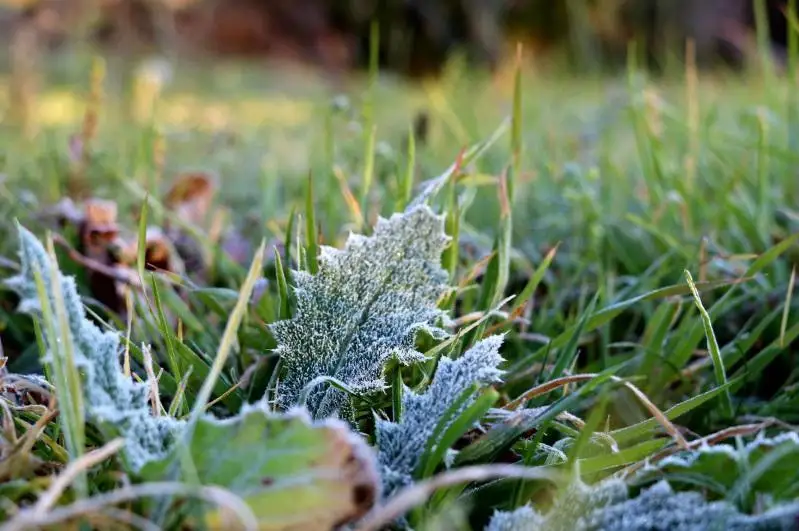 ەلىمىزدىڭ 10 وڭىرىندە اۋا رايىنا بايلانىستى ەسكەرتۋ جاريالاندى