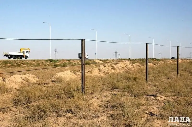 На мангистауских трассах появились «электропастухи»