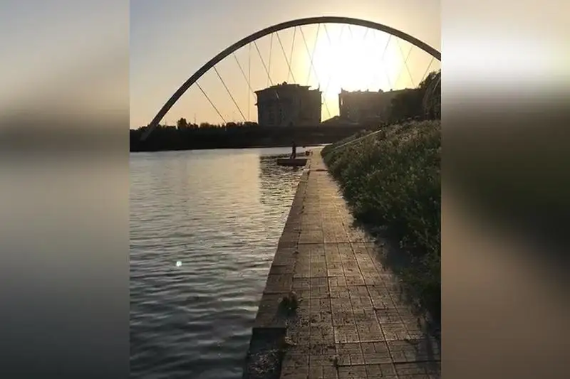 بالىقتاردىڭ سۋ بەتىنە جاپپاي شىعۋى: ەلوردالىق ماماندار ەسىلدەن سىناما الدى