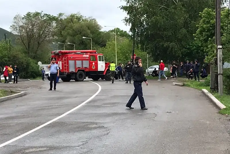 Текеліде лай көшкіні жүріп 5 жасар бала жоғалып кетті