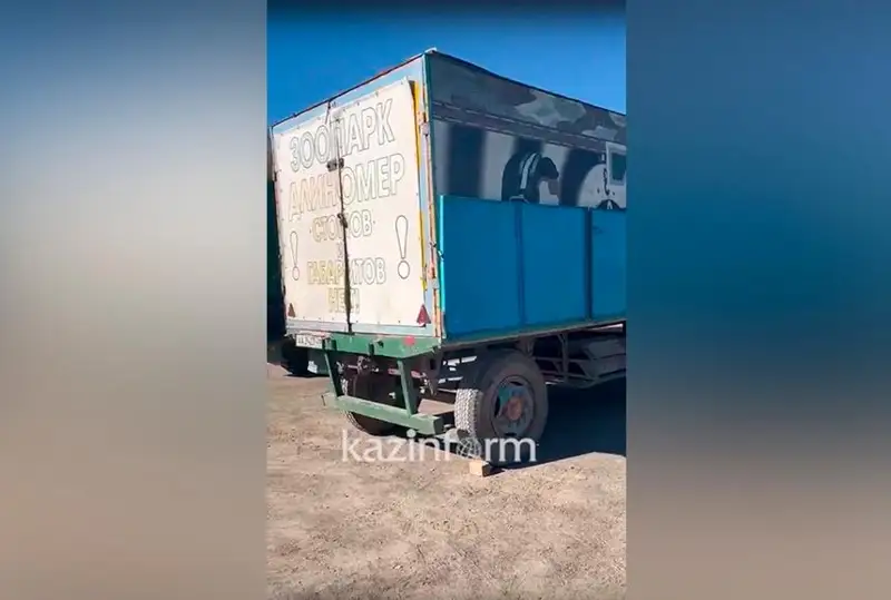 Приезд передвижного зоопарка возмутил жителей Атырау