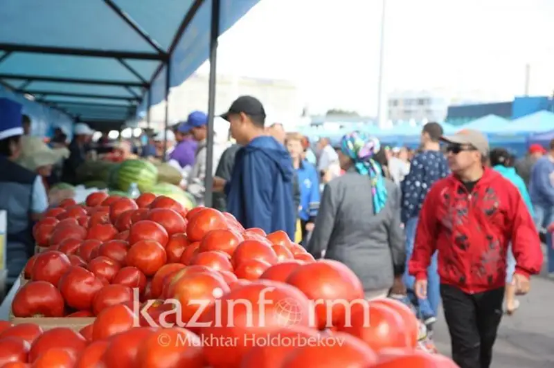 Kóshedegi saýda úshin jalǵa berilgen ýchaskelerden 534,4 mln teńge tabys túsken