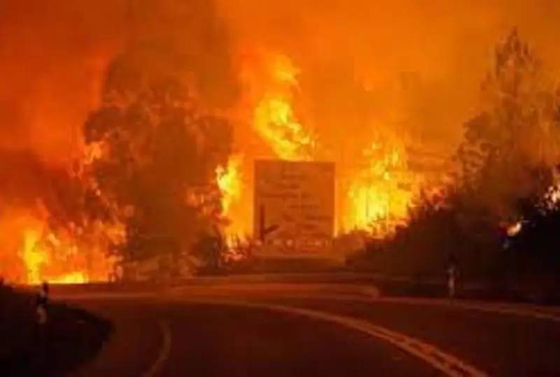 Почти 300 лесных пожаров тушат в Португалии