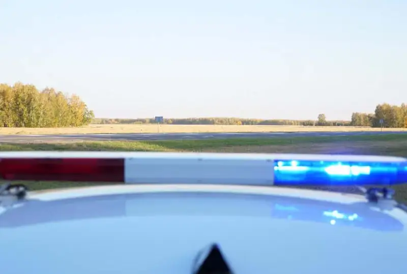SQO joldarynda jyldamdyq rejımin buzýdyń 294 deregi tirkeldi
