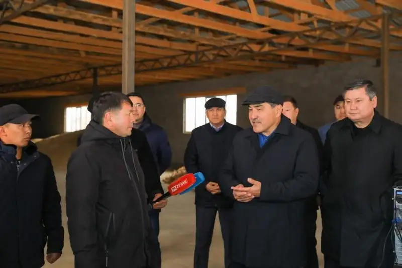 Жамбылский проект повышения доходов сельчан – в регионе растет поголовье скота