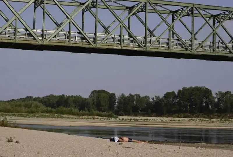 Засуха на севере Италии может привести к потере свыше 30% урожая риса