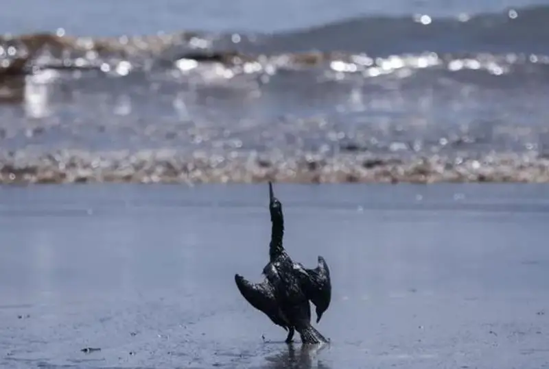 Перу подает иск на $4,5 млрд против испанской нефтегазовой компании