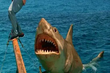 قورقىنىشتى فيلم كورۋ - كوروناۆيرۋسپەن كۇرەسۋگە كومەكتەسەدى