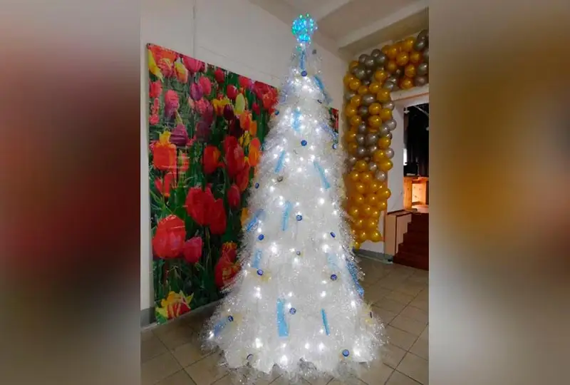 Эко-елку сделали в женской колонии Карагандинской области