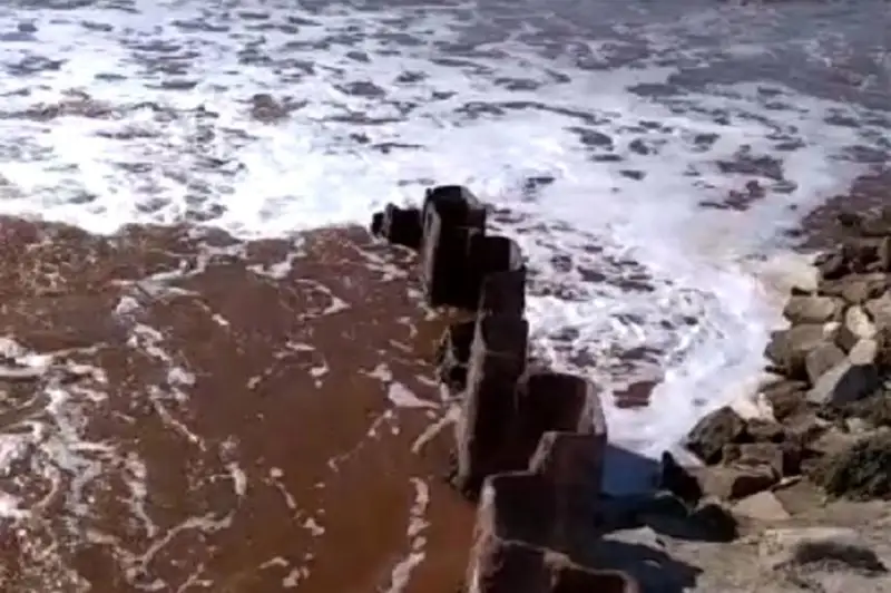 Причину покраснения воды у берегов Каспия назвали экологи