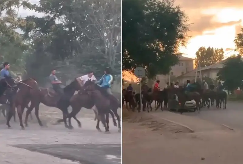Беспредел устроили участники кокпара в Талгаре