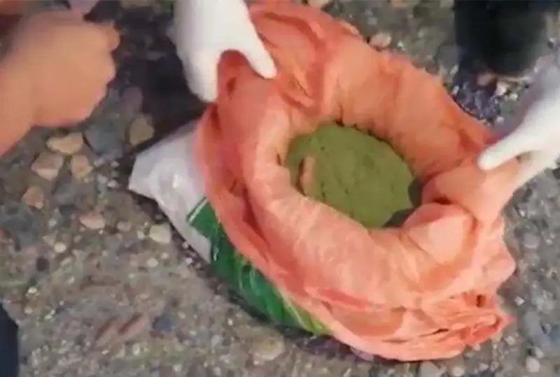 Перевозчика крупной партии наркотиков задержали в Жамбылской области