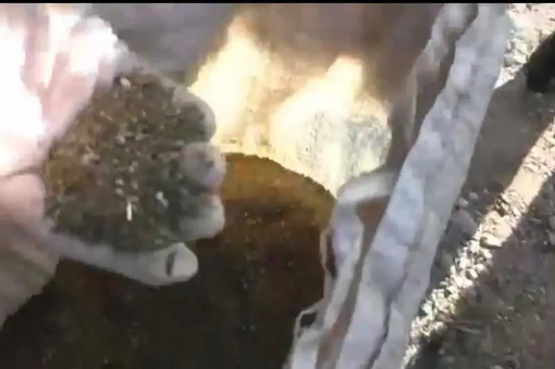 Наркотики весом 200 кг изъяли у мужчины на трассе в Жамбылской области