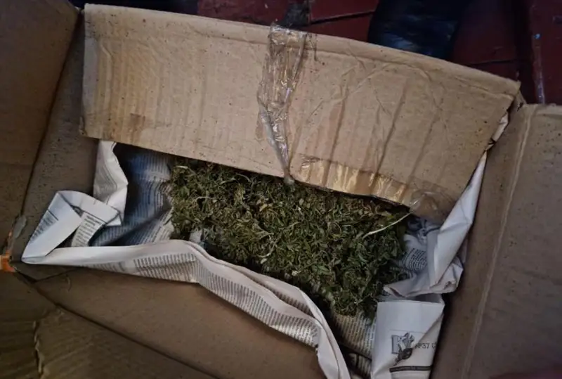 Полицейскими изъята крупная партия марихуаны в Костанайской области