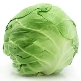 Картинки по запросу қырыққабат