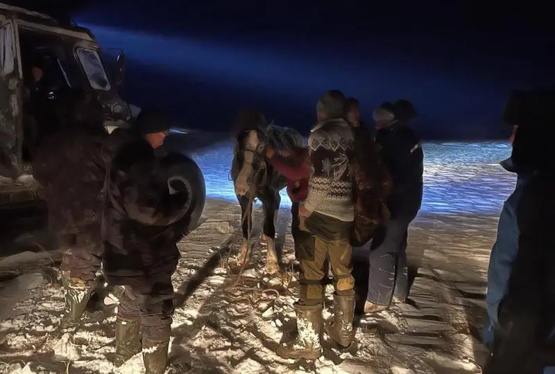 Троих пропавших в степи пастухов нашли спасатели Улытауской области