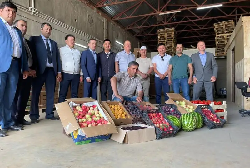 Продукция таджикских сельхозтоваропроизводителей будет поставляться на акмолинские рынки