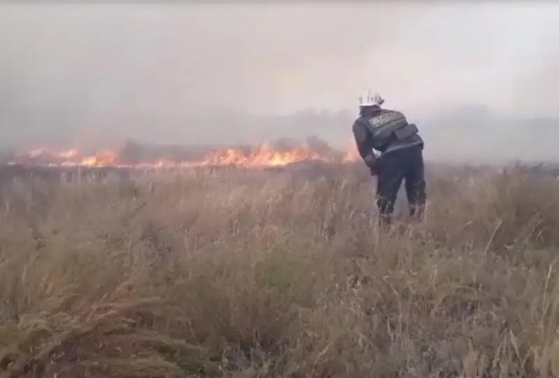 Несколько природных пожаров произошло в Карагандинской области за сутки