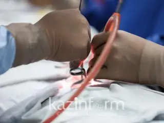 يتاليالىق حيرۋرگ الماتىلىق قىزدىڭ تاماعىنا وتا جاساپ، داۋىسىن قايتاردى